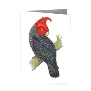 Greeting Card - Gang Gang Cockatoo Vintage