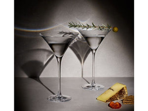 Duet Martini Glass 170ML Set of 2 Gift Boxed