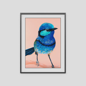 A4 Art Print - Charlie the Splendid Fairy Wren