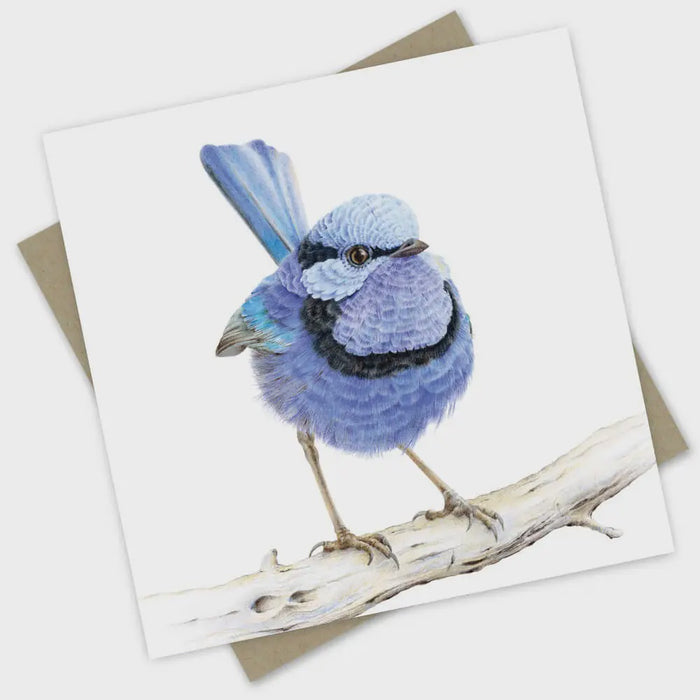 Greeting Card - Australiana: Waru the Splendid Fairy-Wren