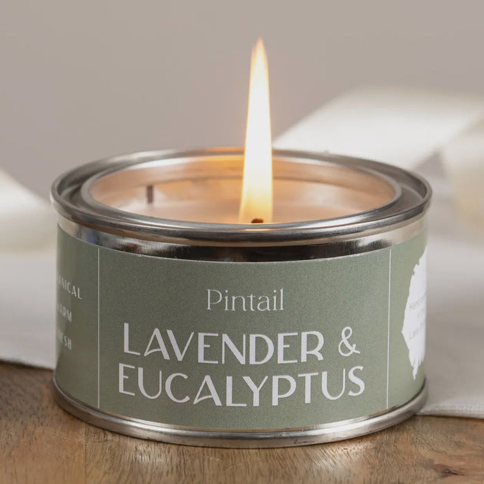 Paint Pot Candle Small - Lavender & Eucalyptus