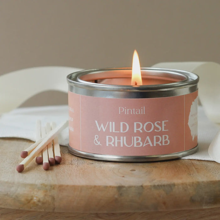 Paint Pot Candle Small - Wild Rose and Rhubarb
