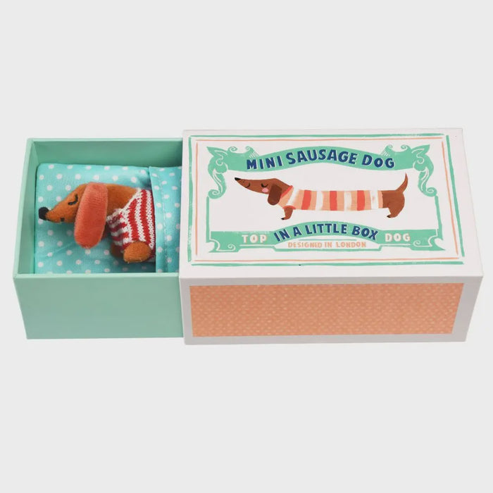 Rex London Mini Sausage Dog in A Box
