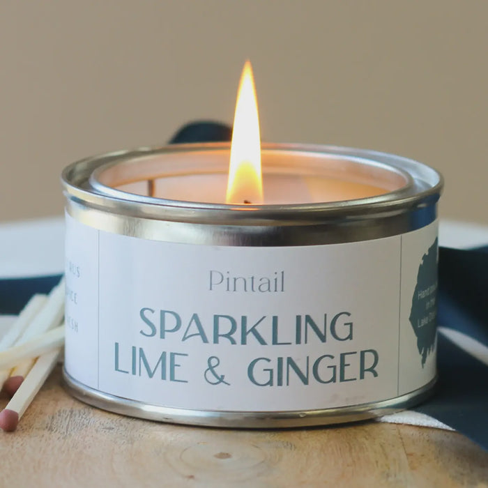 Paint Pot Candle Small - Sparkling Lime and Ginger