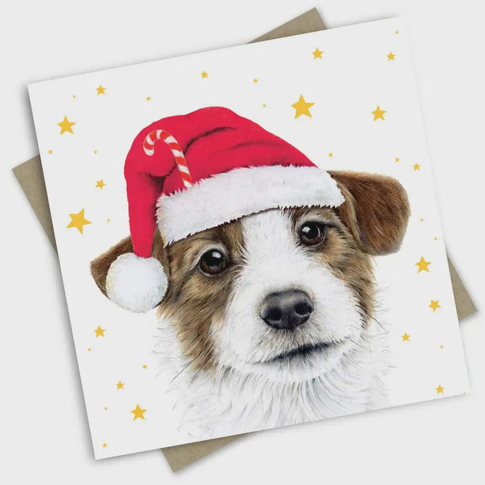 Greeting Card - Christmas Card: Jack Russell's Christmas