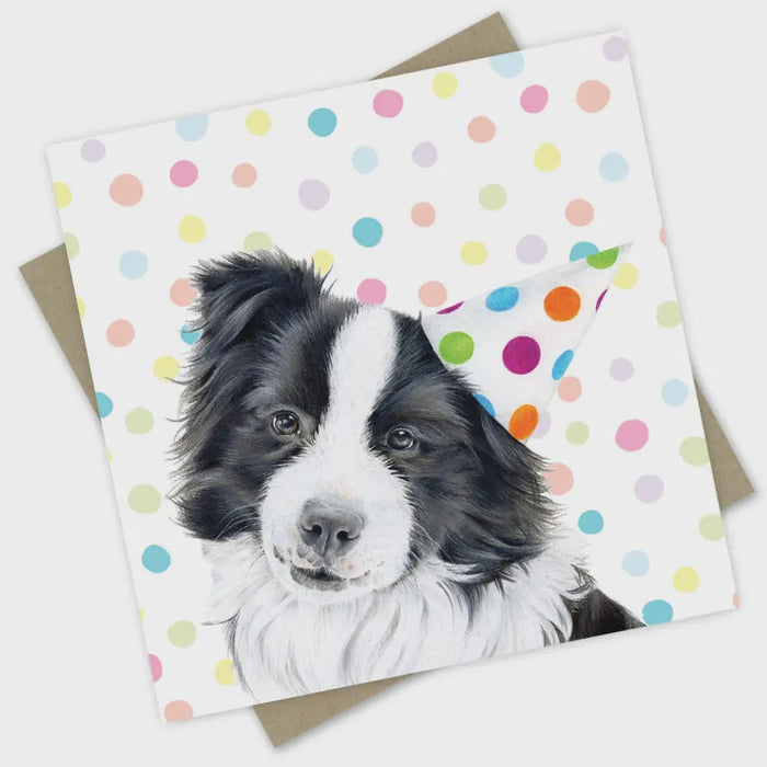 Birthday Card - Bennie the Border Collie