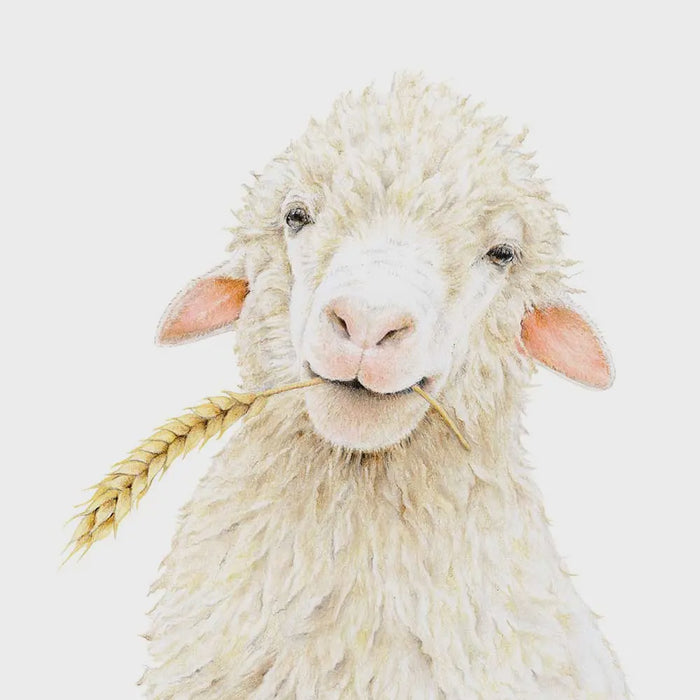 Fine Art Print: Mr Sprinkles the Sheep