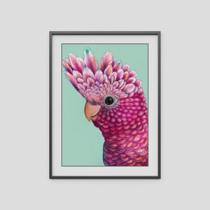 A4 Art Print - Ziggy the Galah