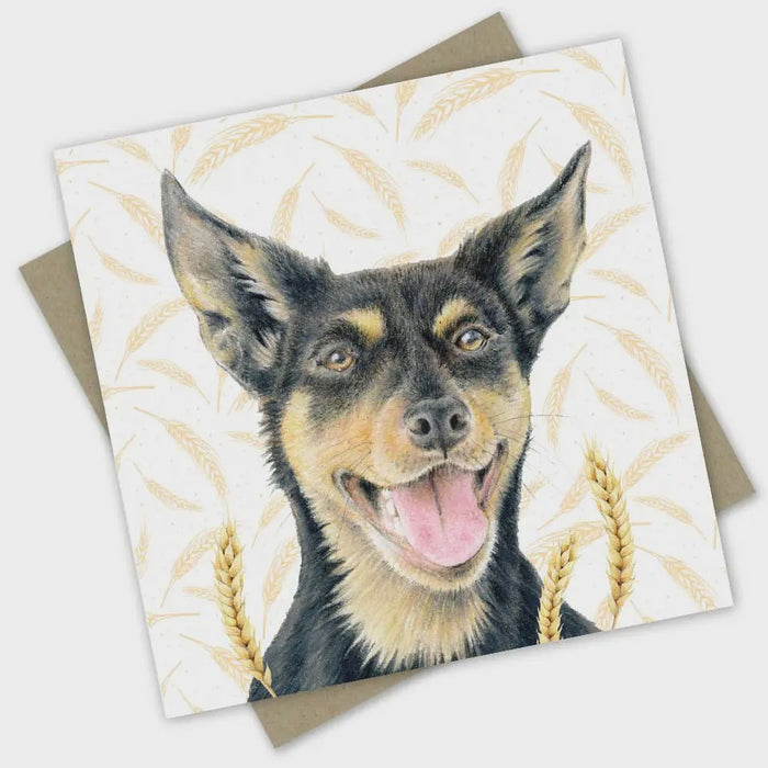 Greeting Card - Furry Friend: Mrs Star the Kelpie