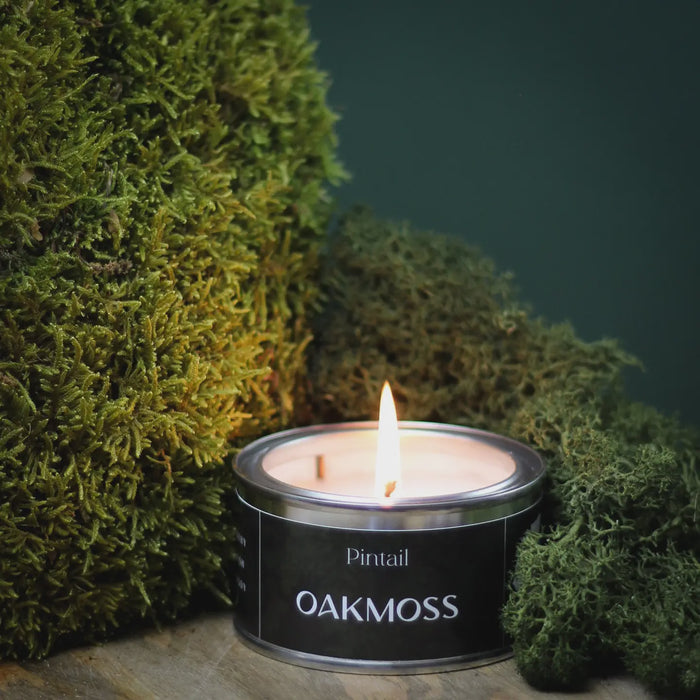 Paint Pot Candle Small - Oakmoss