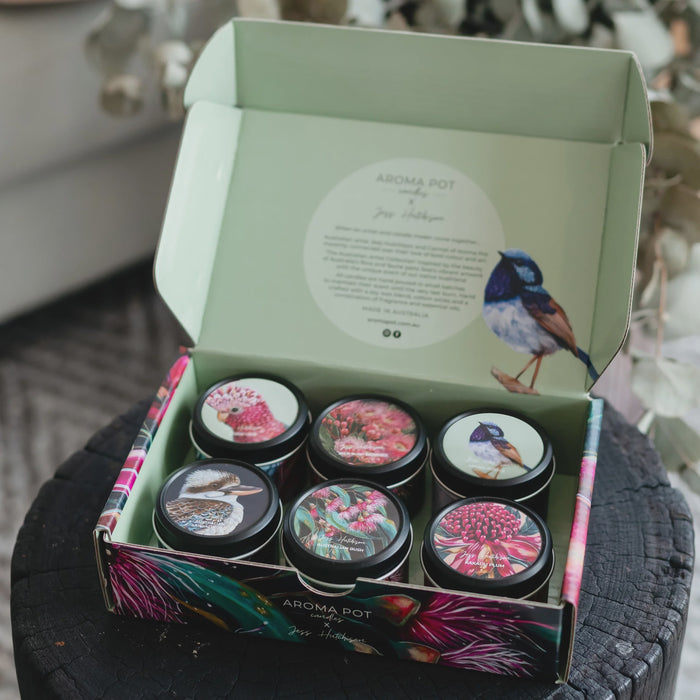 Jess Hutchison Artist Sample Pack of 6