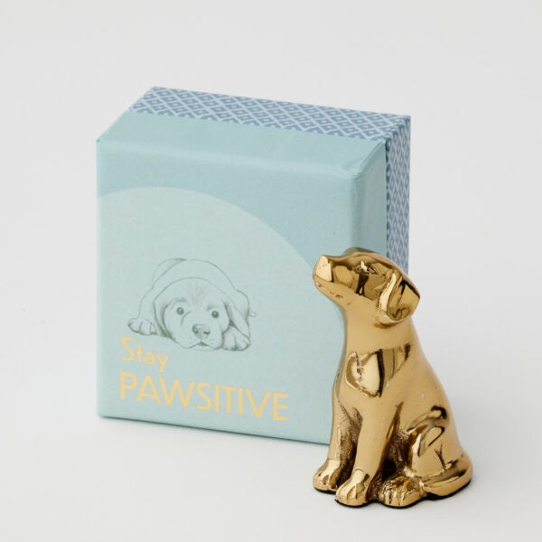 Figurine - Stay Pawsitive