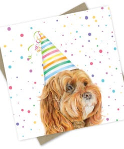 Birthday Card - Macintosh The Cavoodle