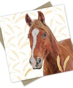 Greeting Card - Farm Friend: Horsey Horse