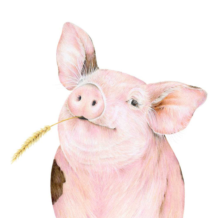 Fine Art Print: Mr Pickles The Pig