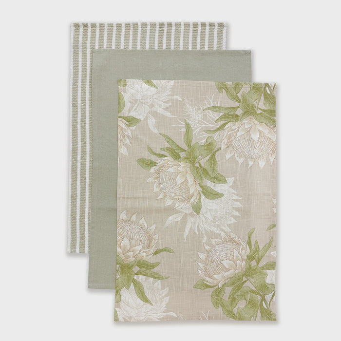 King Protea Teatowel Pack 3