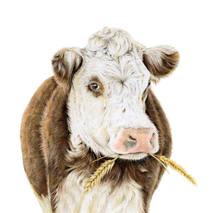 Fine Art Print: Mr Smoochy The Hereford Cow | 30 x 30cm