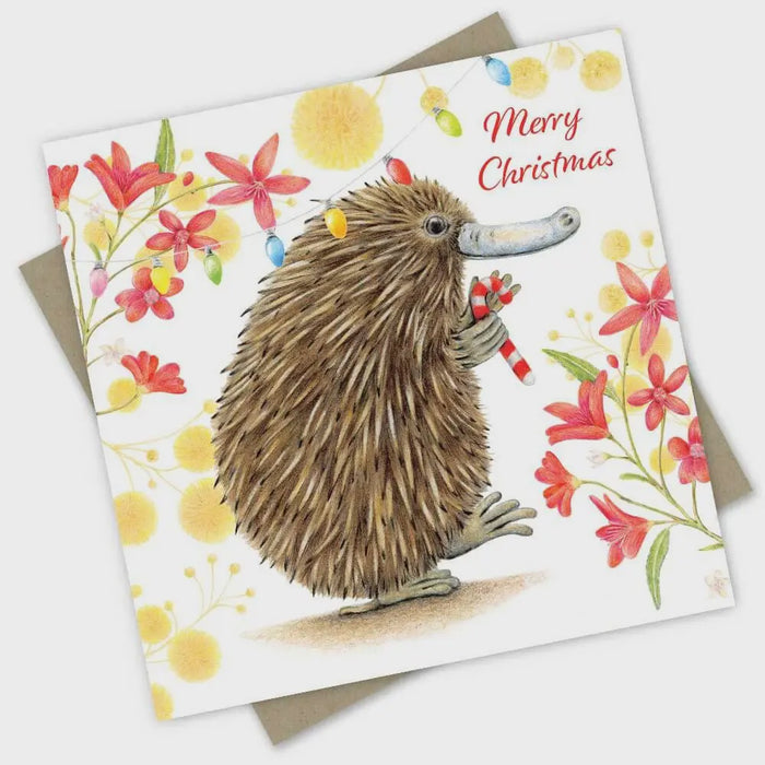 Greeting Card - Christmas Card: Candy Cane Echidna
