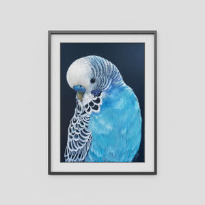 A4 Art Print - Locky the Budgie