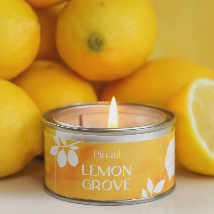 Paint Pot Candle Small - Lemon Grove