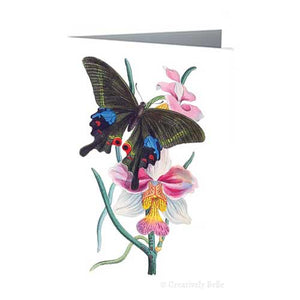 Greeting Card - Butterfly and Orchids Vintage