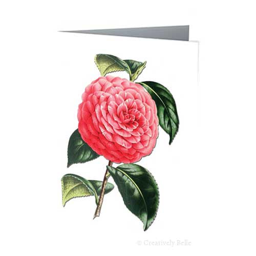 Greeting Card - Camellian Japonica Vintage