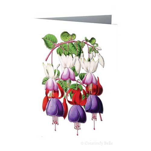 Greeting Card - Vintage Fuchsia Profusion